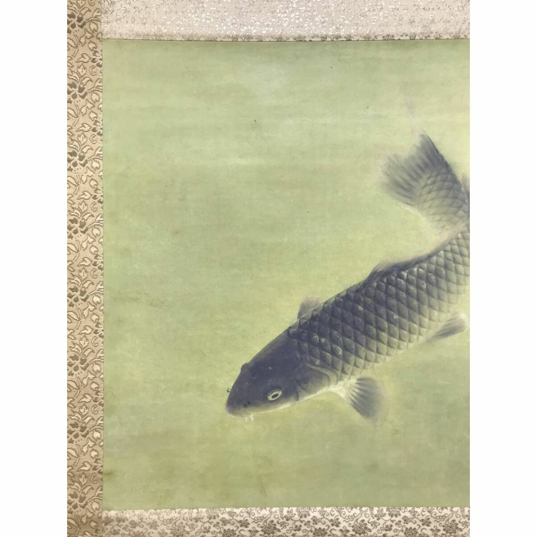 雅泉 鯉① 日本画 掛け軸 雅泉 鯉① 日本画 掛け軸 雅泉