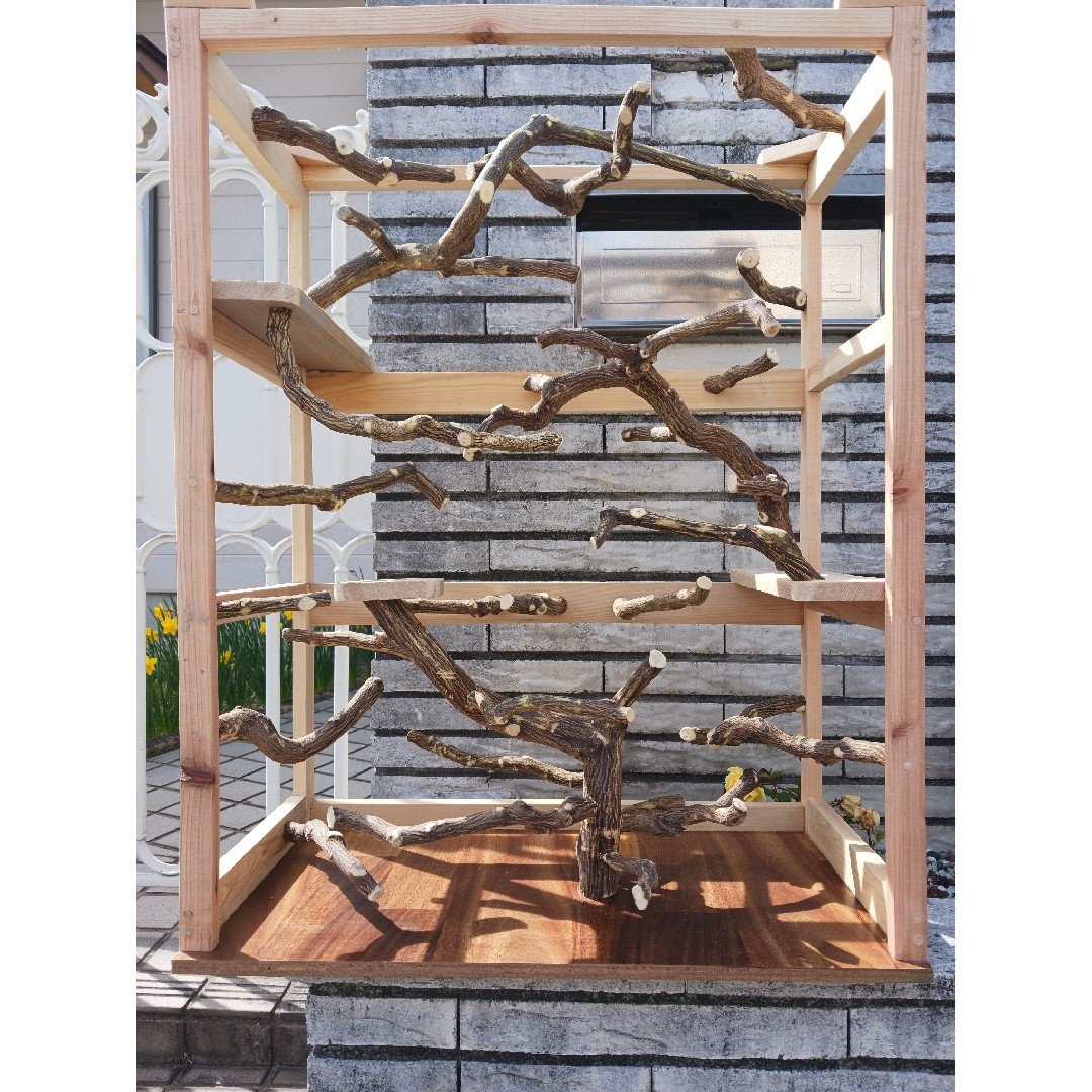 バードアスレチックジム 卓上止まり木143