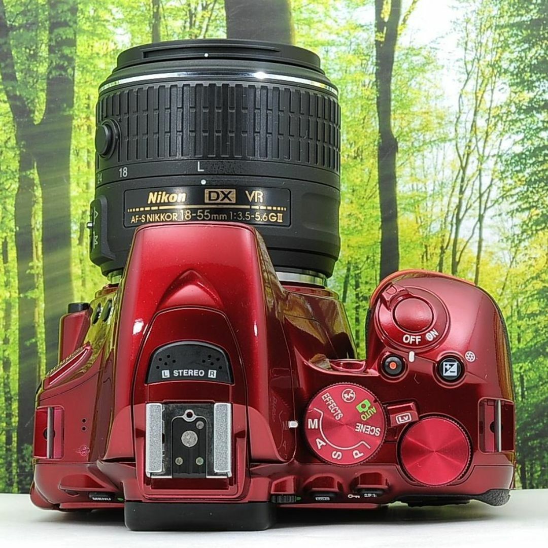 WiFi搭載機種♪Nikon D5500☆希少なワインレッド☆超高性能一眼
