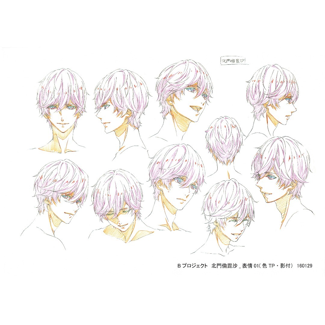 B-PROJECT 設定資料 114枚