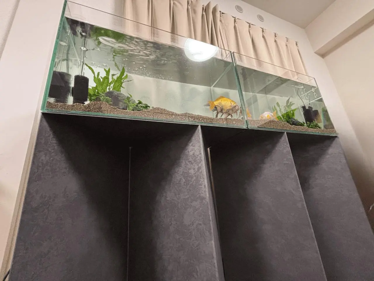 オガライト俊介ページ オーダー水槽台 オガライト俊介ページ オーダー