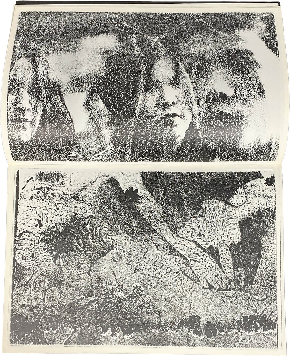 Federicorad 荒木経惟 直筆サイン入ポラロイド Federicorad 荒木経惟