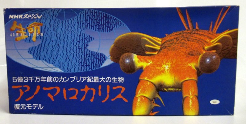 カンブリア紀 アノマロカリス フィギュア 化石 復元モデル NHK