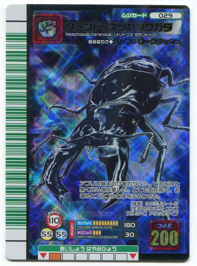 PSA10 タランドゥスツヤクワガタ 2004 セカンド プラス ムシキング