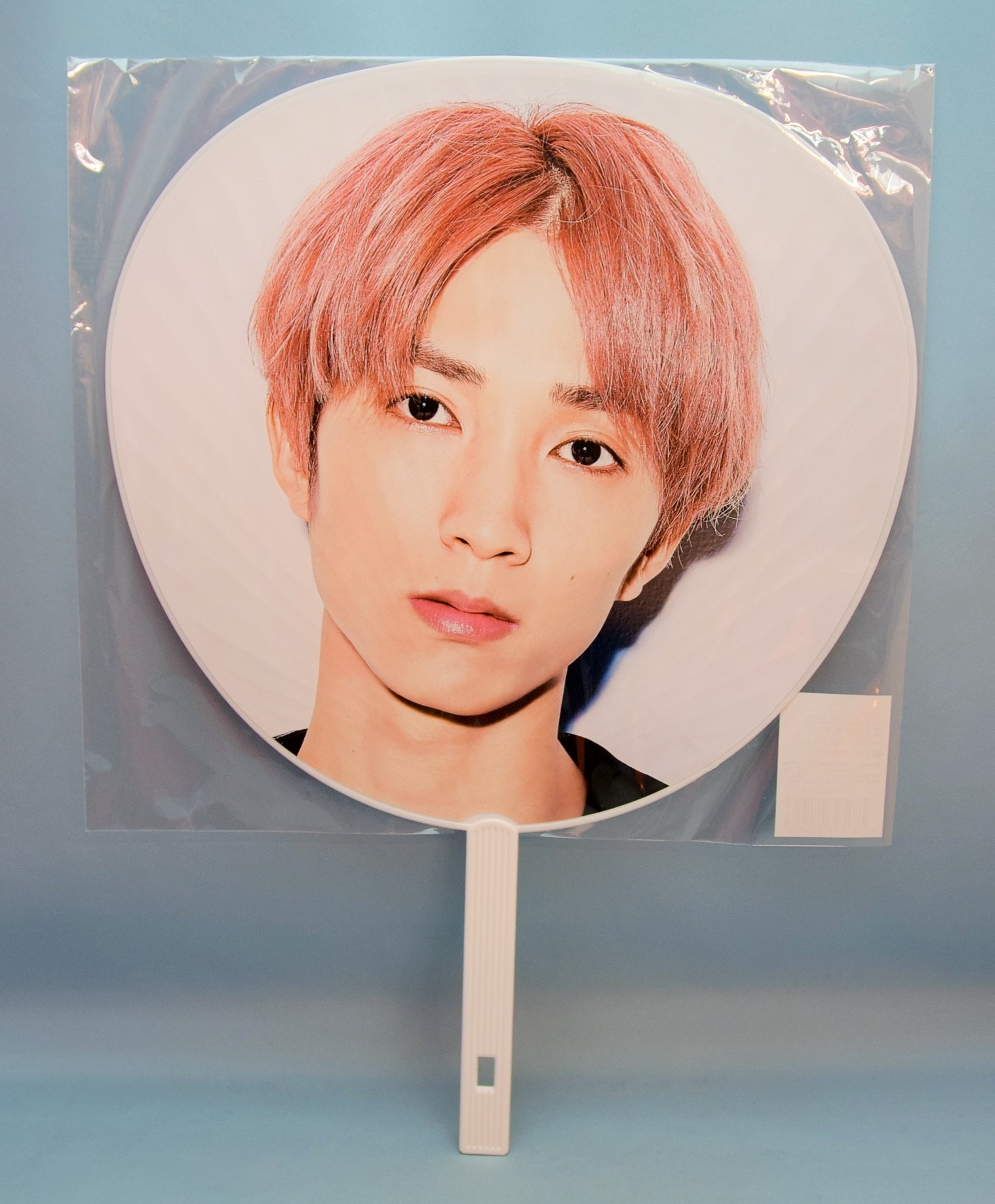 SixTONES 田中樹 うちわ ハンガー SixTONES 田中樹 うちわ ハンガー