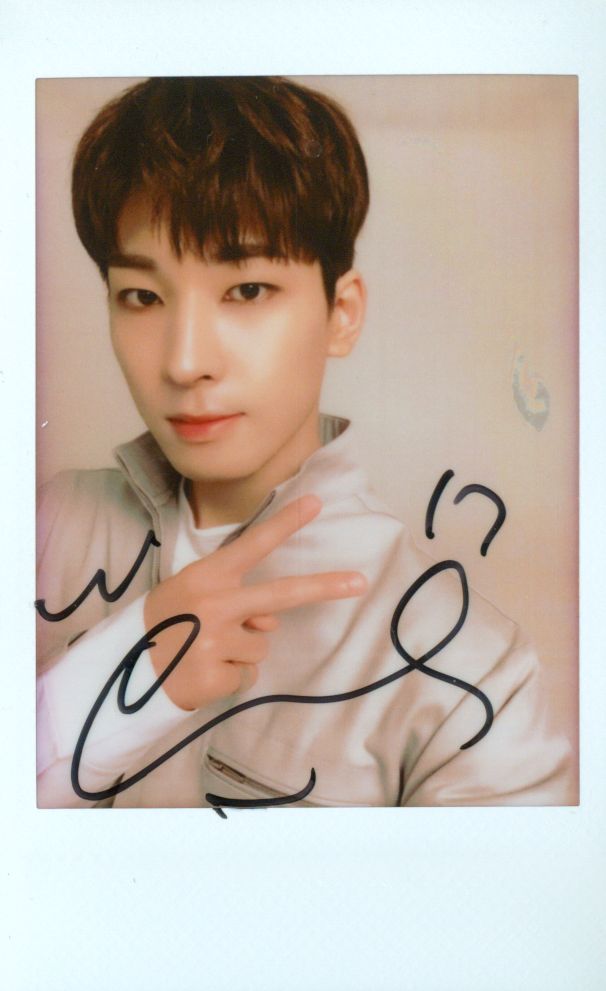 SEVENTEEN セブチ 直筆サイン入り チェキ ウォヌ Ode to you