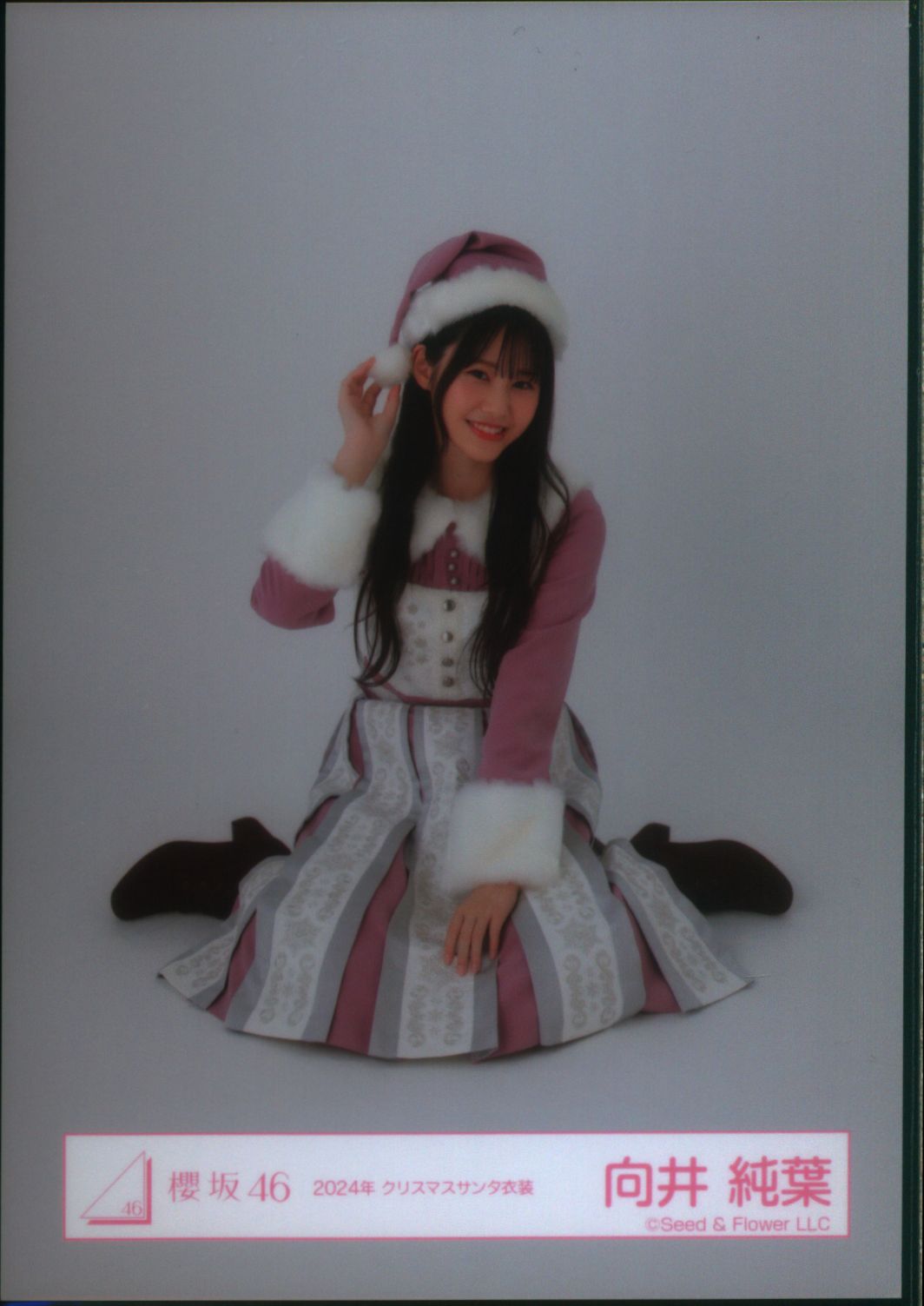 櫻坂46 向井純葉 直筆 サンタ24 座り 櫻坂46 向井純葉 直筆 サンタ24