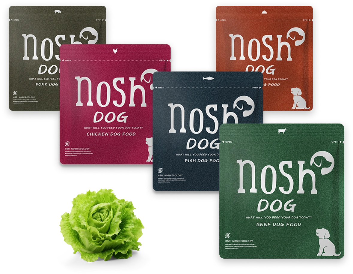 thisisa***【未開封】nosh DOG ナッシュドッグ ドッグフー thisisa
