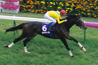 JRAホームページ｜データファイル｜競走成績データ