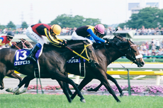 JRAホームページ｜データファイル｜競走成績データ