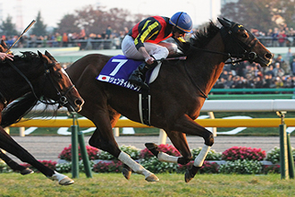 JRAホームページ｜データファイル｜競走成績データ