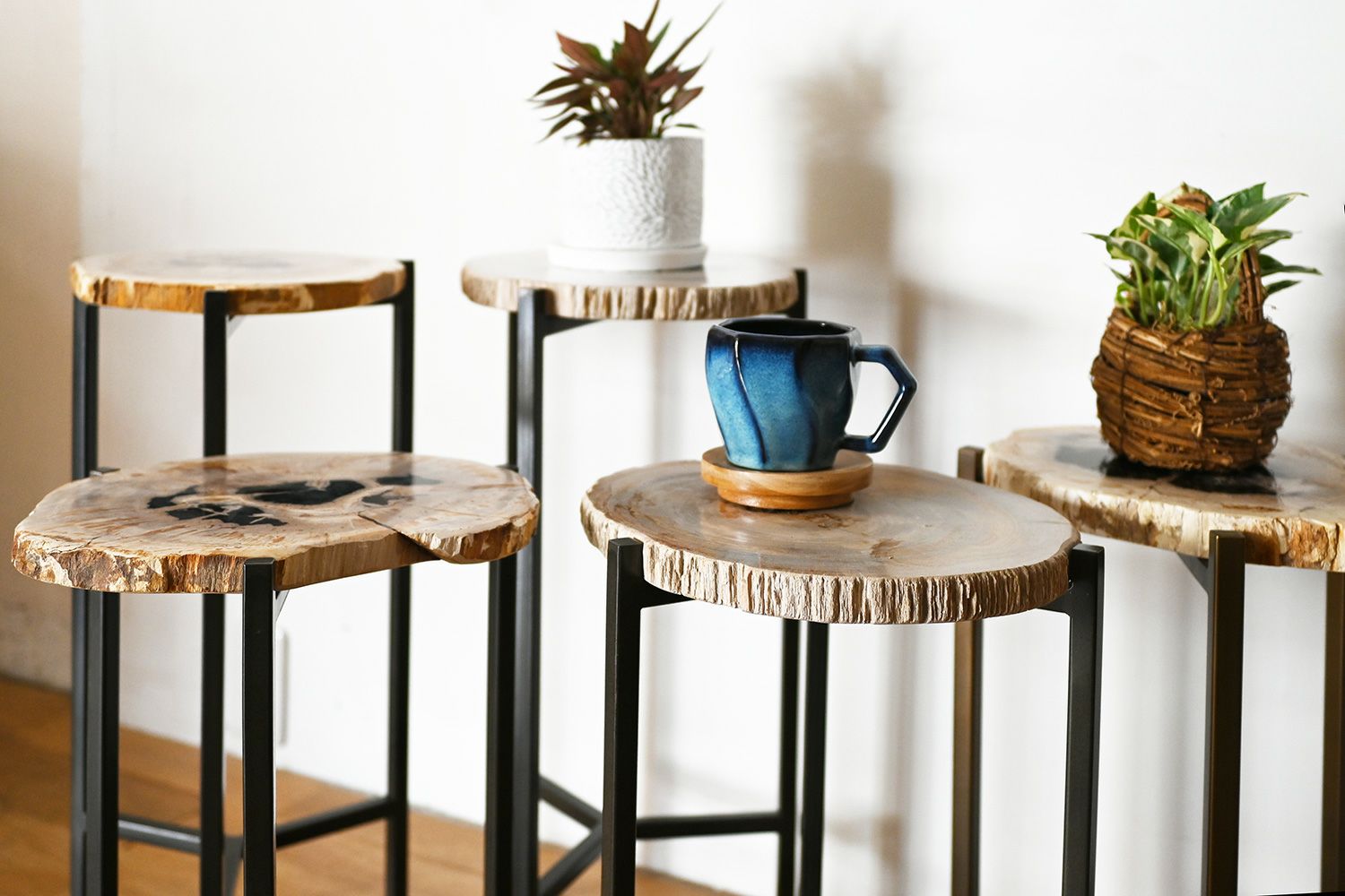 自然の美と現代的なデザインを組み合わせた 木化石 サイドテーブル(H45)