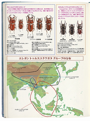 ビークワ54号（BE・KUWA） 世界のコクワガタ大特集!!