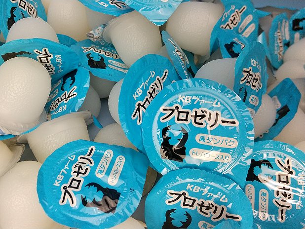 国産プロゼリー6000個KBファーム・カブトムシ クワガタ 【木ぼく