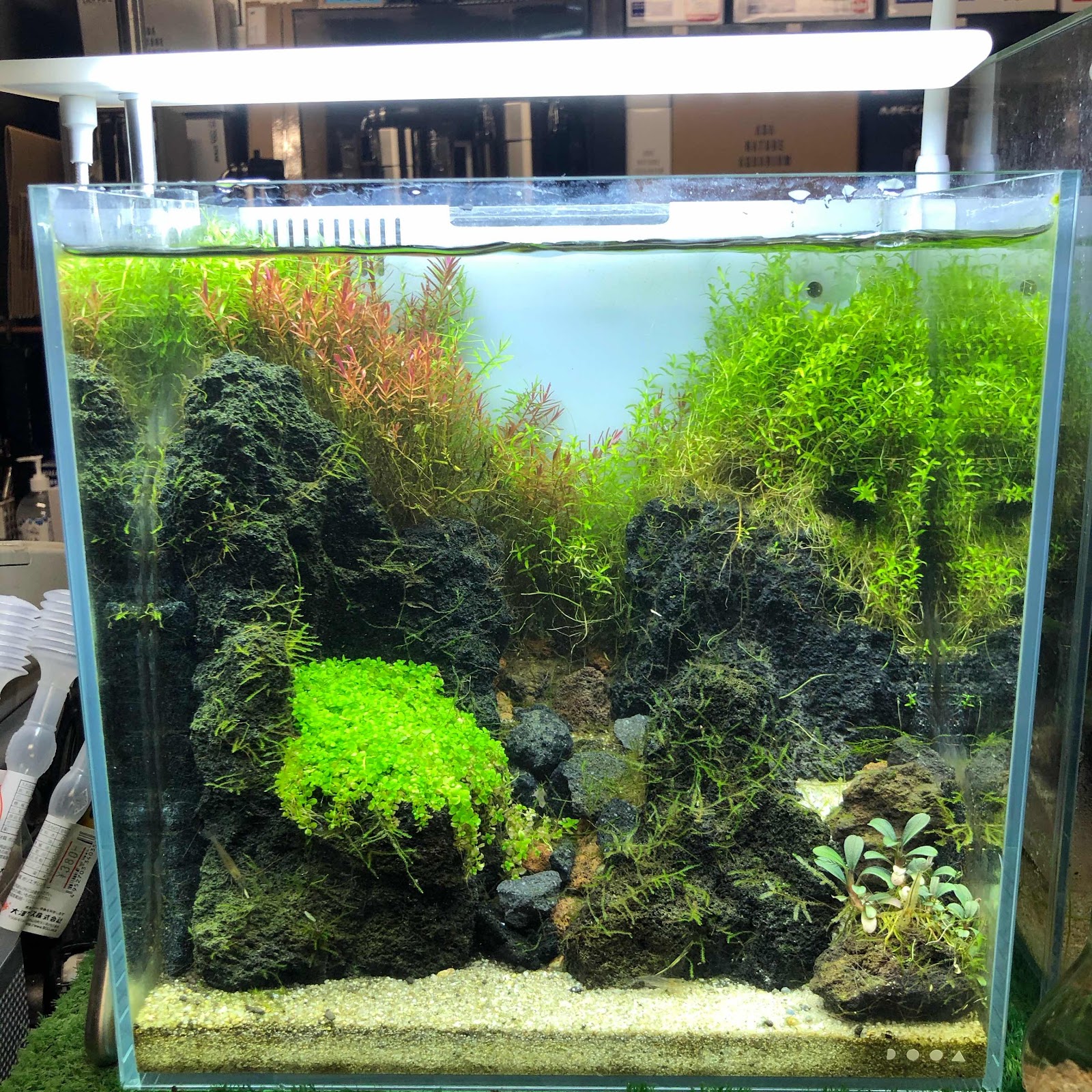 ADA DOOA ソルスタンド 未使用 照明 ADA DOOA ソルスタンド 未使用