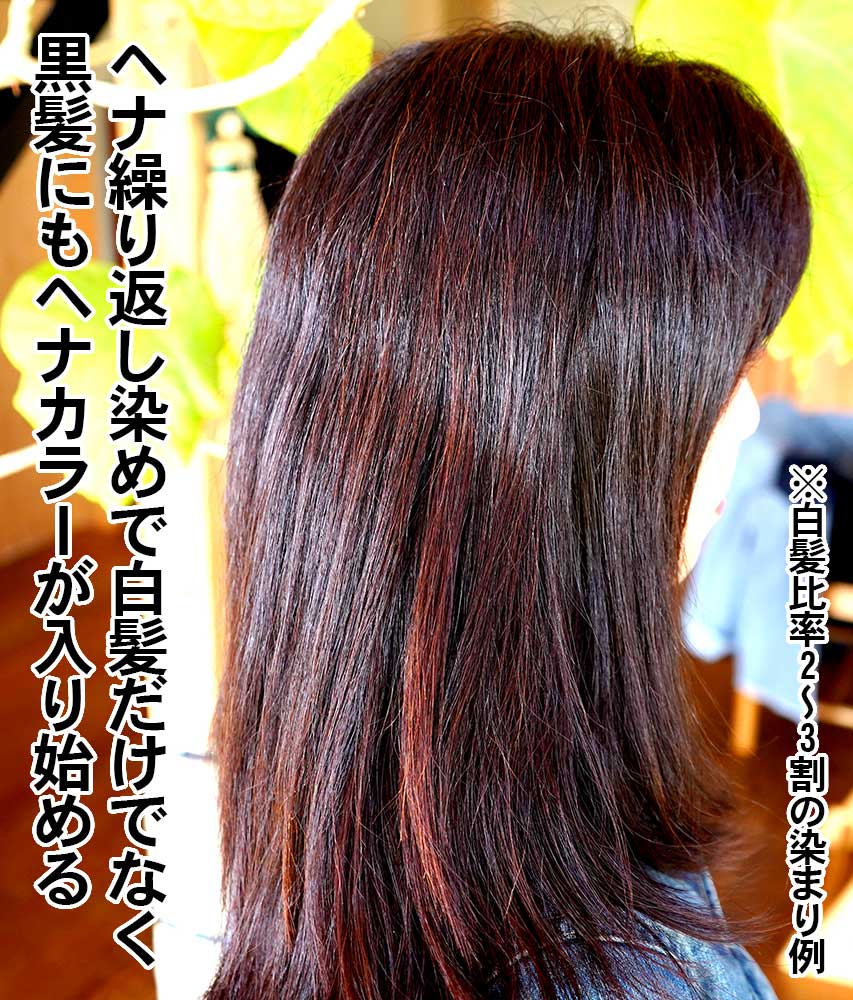 クイーンズヘナ ニューブラウン 4袋 Queens Henna 4袋 ヘナ ニュー