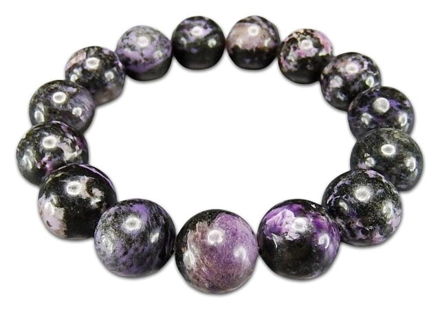 はくとん( 'ω')ŧ‹