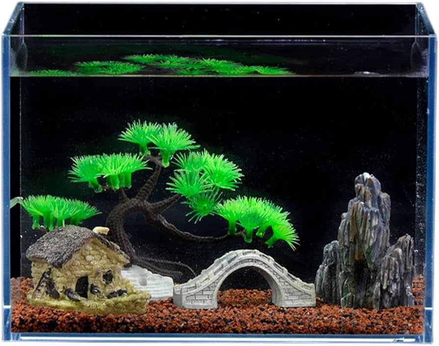 ブラックスマトラブランチ【BSB098】アクアリウム まとめ買い対応可