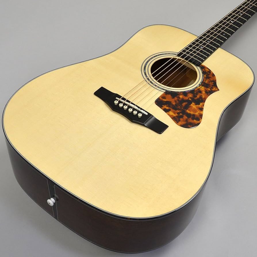 Amazon.co.jp: MORRIS M-80 II アコースティックギター 国産 (モーリス