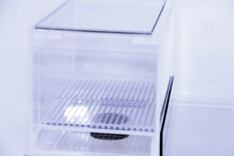 25×15×15ウールボックス - 熱帯魚のmishima