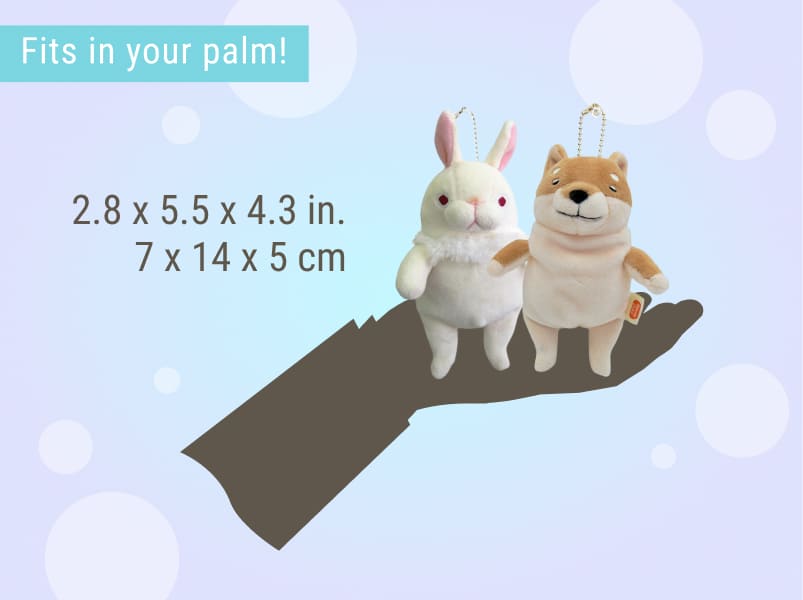 Morisaka Global | ZenPlus » Shop by size