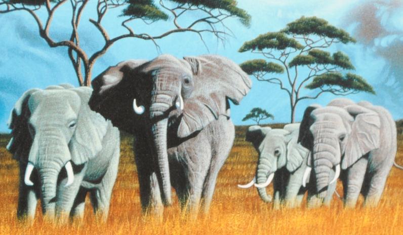 シムシメール ジクレー版画 エッジオブタイム シムシメール ジクレー