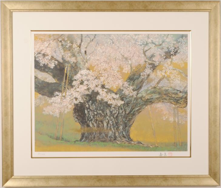 桜の絵画をリトグラフの版画で制作した伊藤嘉晃の和の桜の絵「淡墨桜