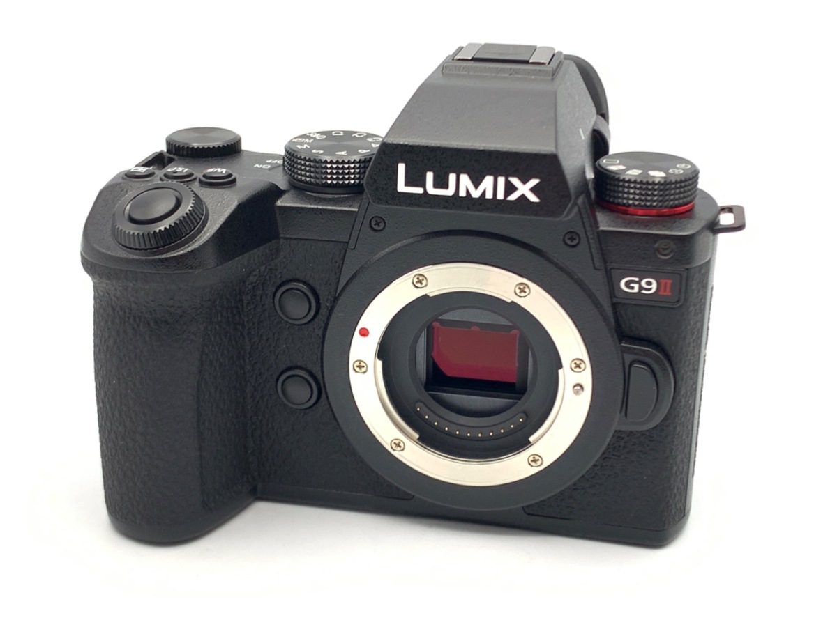 ☆美品☆PanasonicパナソニックLUMIX DC-G99ボディ 付属品完備