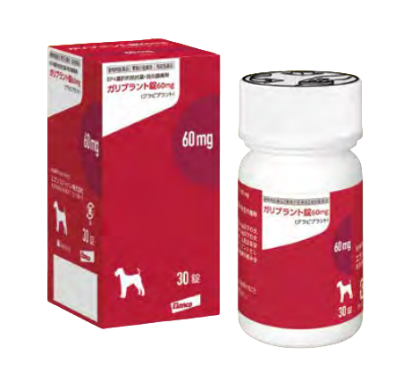 ガリプラント60mg 30錠×1箱 - ねこあざらし薬店