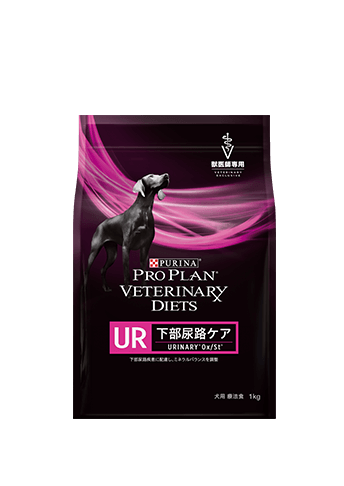 NC ニューロケア | ドッグフード | ピュリナ プロプラン ベテリナリー