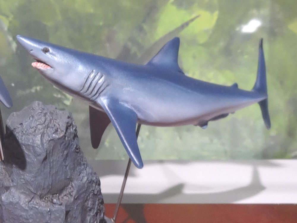 海洋堂】NATURE TALES ホホジロザメ☆松村しのぶ NATURE TALES