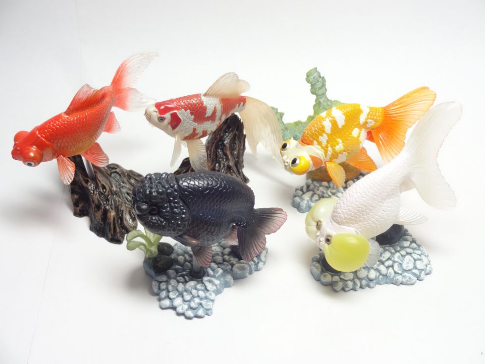 ヤナギデメキン 原色鑑賞魚図鑑 シークレット ヤナギデメキン 原色鑑賞