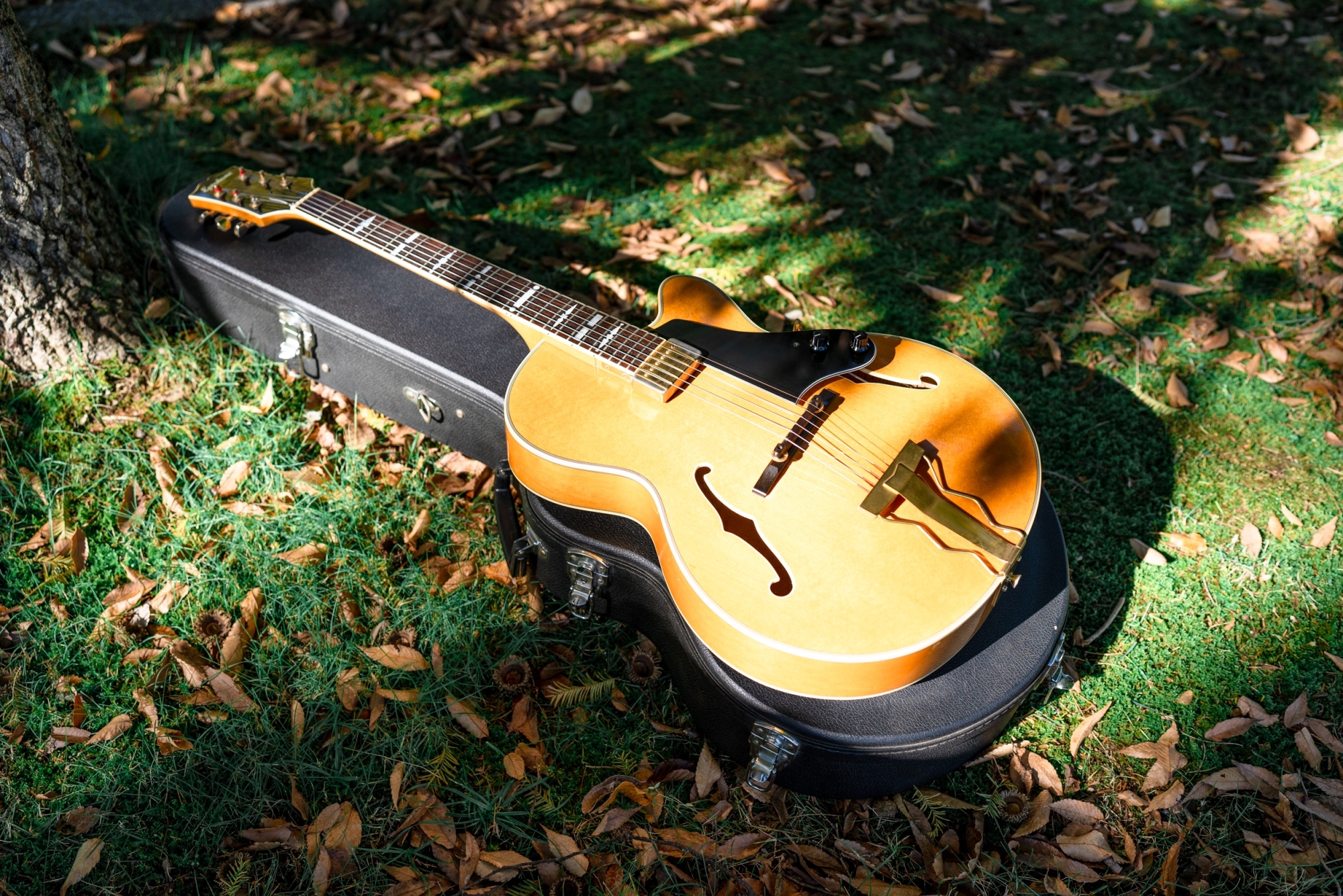 フルアコ 日本製 海外輸出モデル Epiphone NVJ-NT フルアコ 日本製