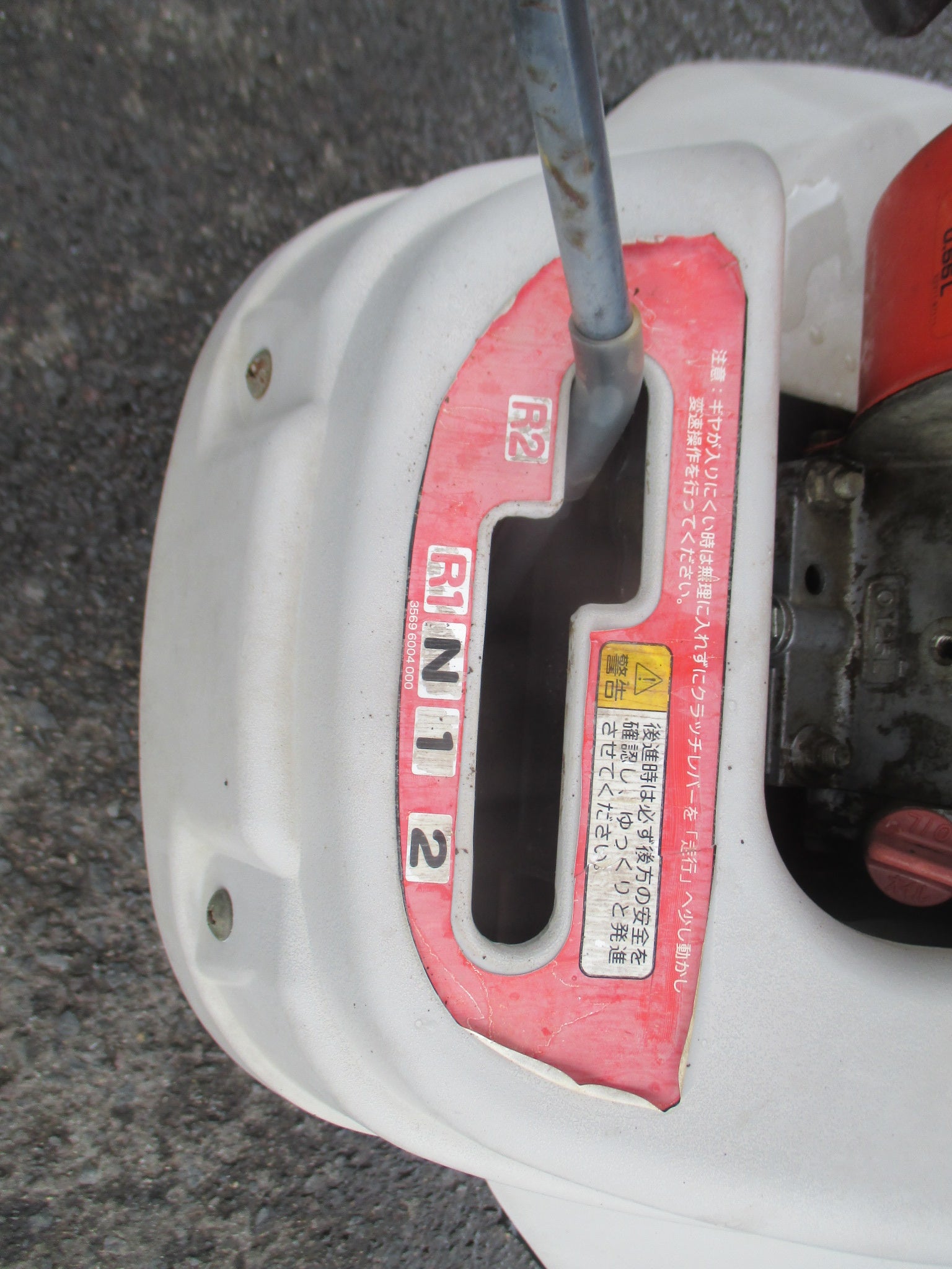 中国の小盅 中国の小盅 中国の小盅 椰小盅|