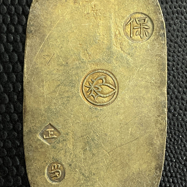 IMG_7057_600x600_crop_center.