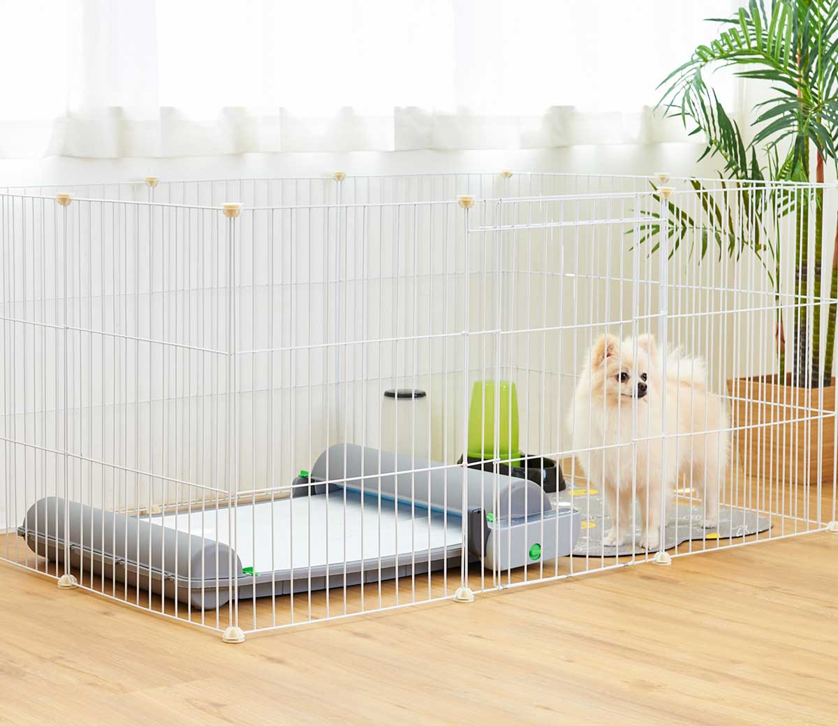 ロール式自動犬トイレ ブリリアントパッドSMART | 株式会社オーエフティー