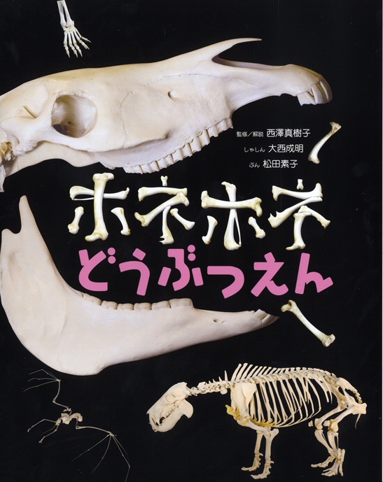 ホネホネどうぶつえん - 大阪市立自然史博物館友の会ネットショップ