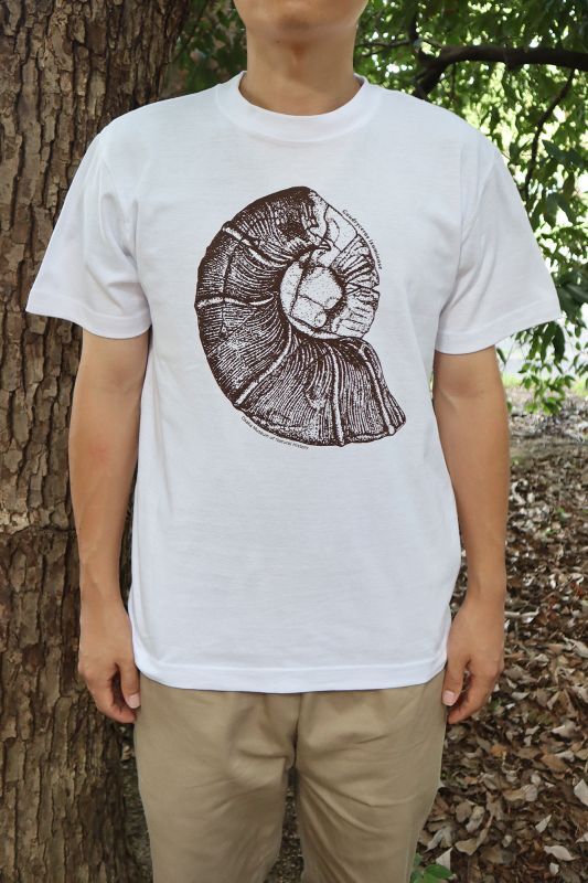 アンモナイトTシャツ - 大阪市立自然史博物館友の会ネットショップ