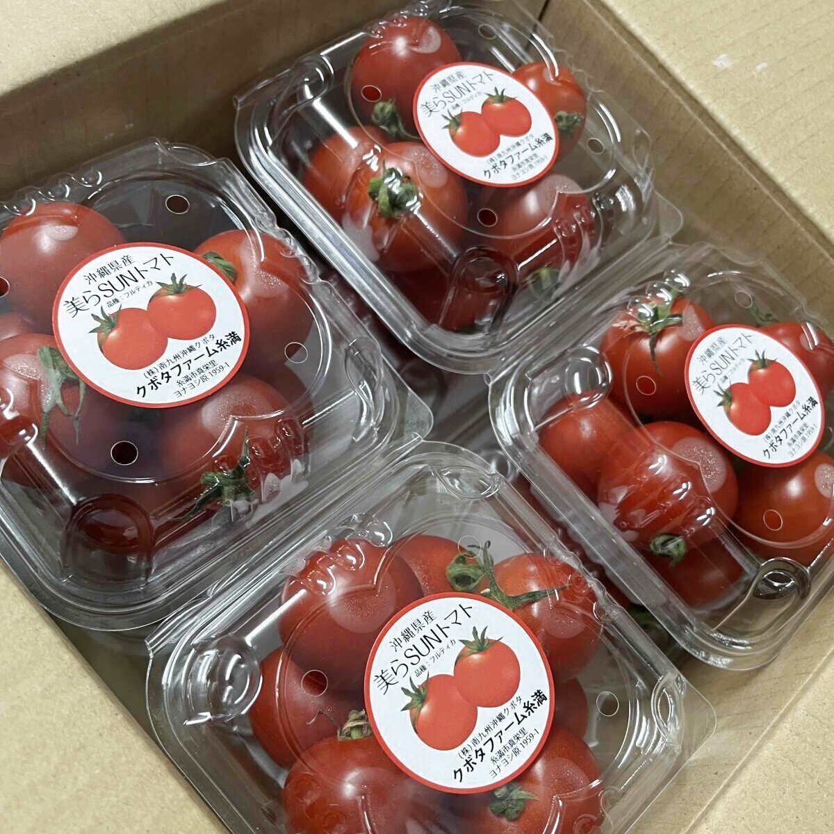 美らsunトマト クボタファーム糸満 フルティカトマト