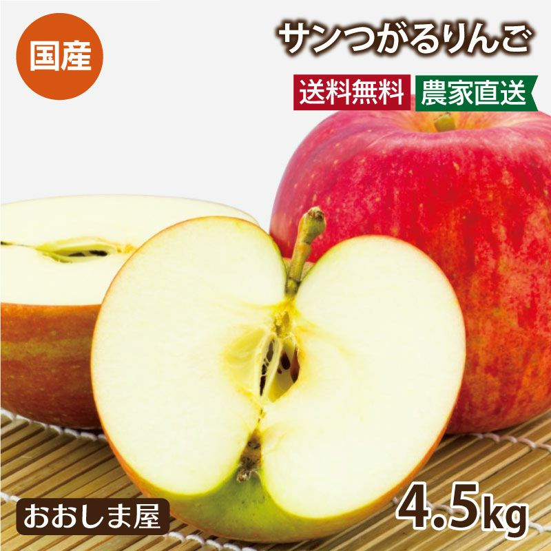 青森産 秋田産 サンつがるりんご 4.5kg 約12～18玉 送料無料 クール代