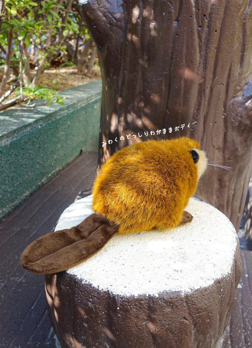 続々とSUPER BEAVER様とのコラボ『スーパービーバーちゃん』が皆様のお