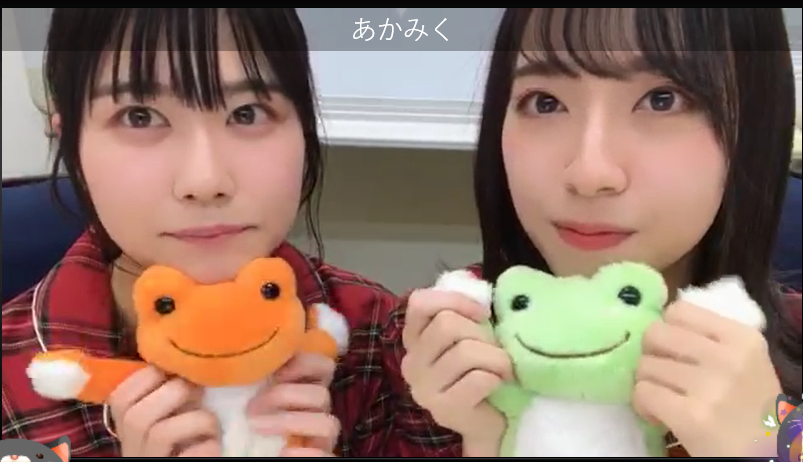 日向坂46 金村美玖 かえるのピクルス きゃむ）【激レア】日向坂46 金村