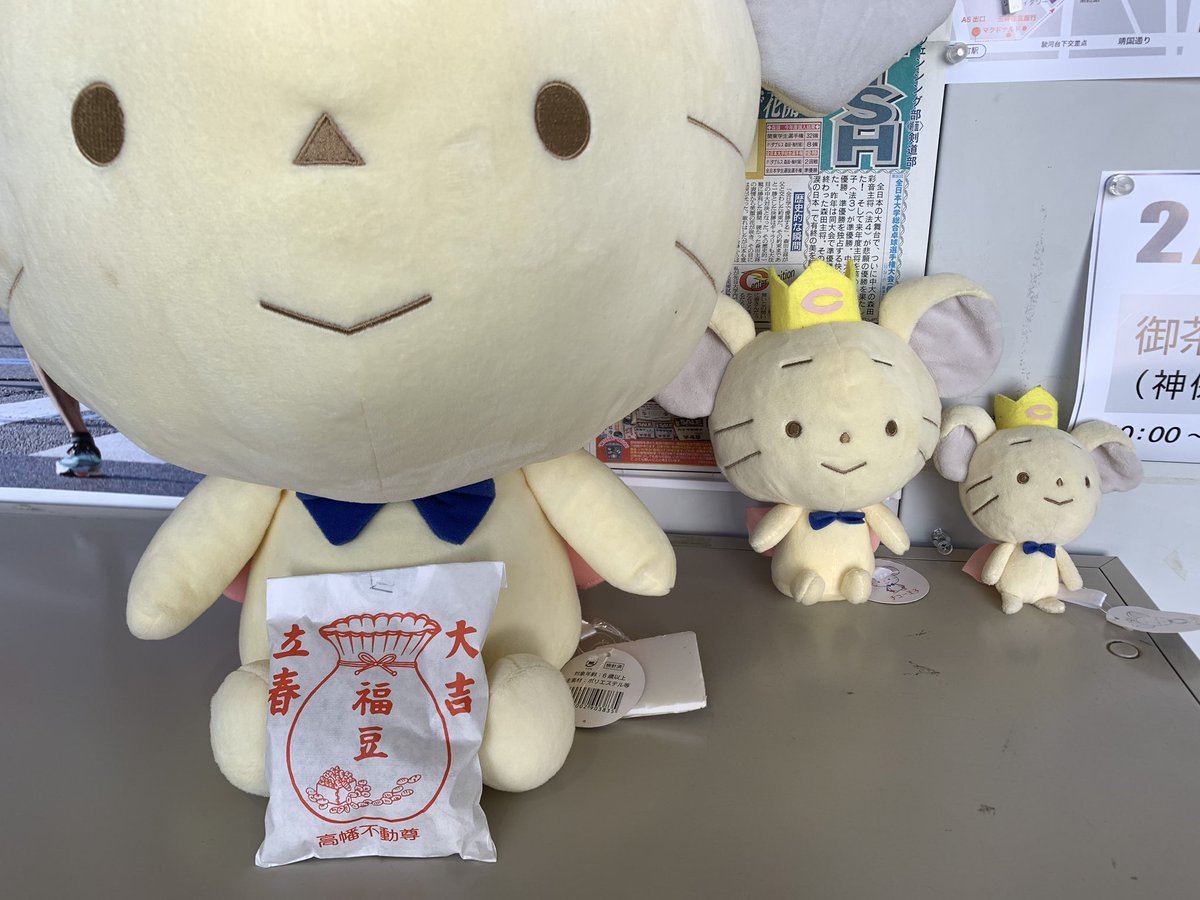 中央大学マスコットキャラクター 「チュー王子」 特大ぬいぐるみ 希少