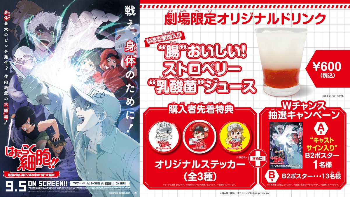 はたらく細胞 クラッシュフィーバー 当選品 直筆サイン 色紙 白血球