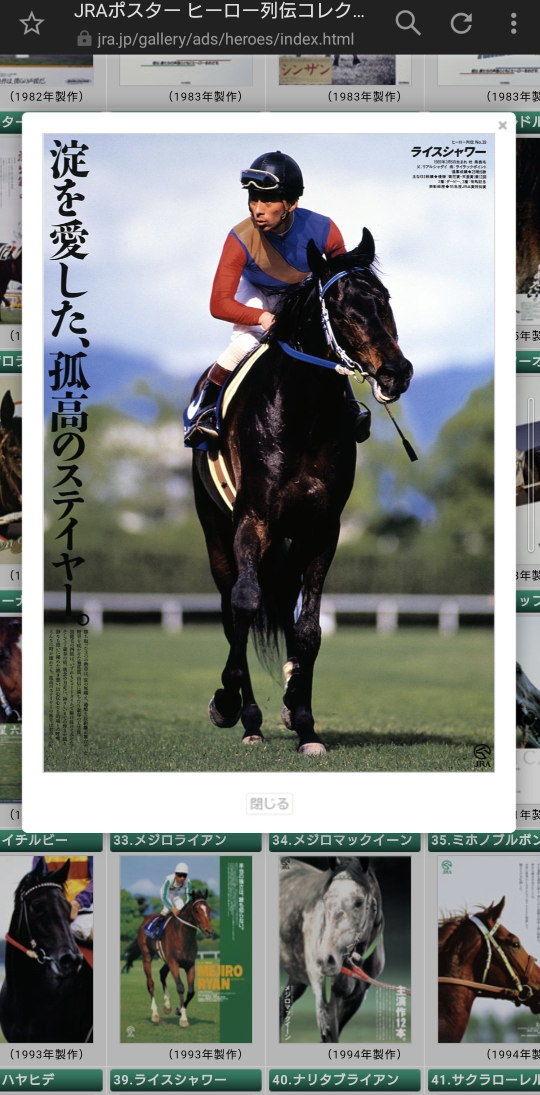 ライスシャワー&メジロマックイーン ポスター 競馬 ヒーロー列伝 ウマ娘 馬