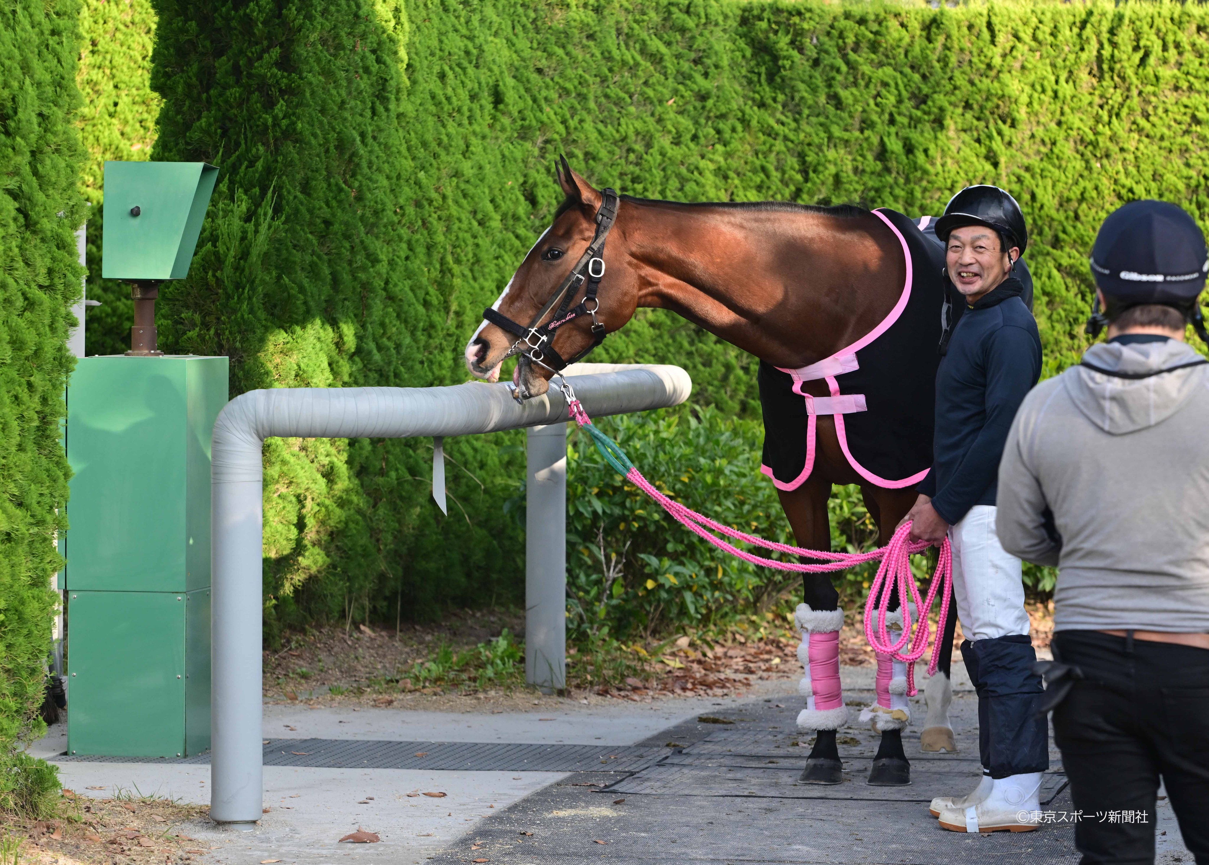 競馬 レシステンシア 2022年香港スプリント実使用ゼッケン 特別な馬