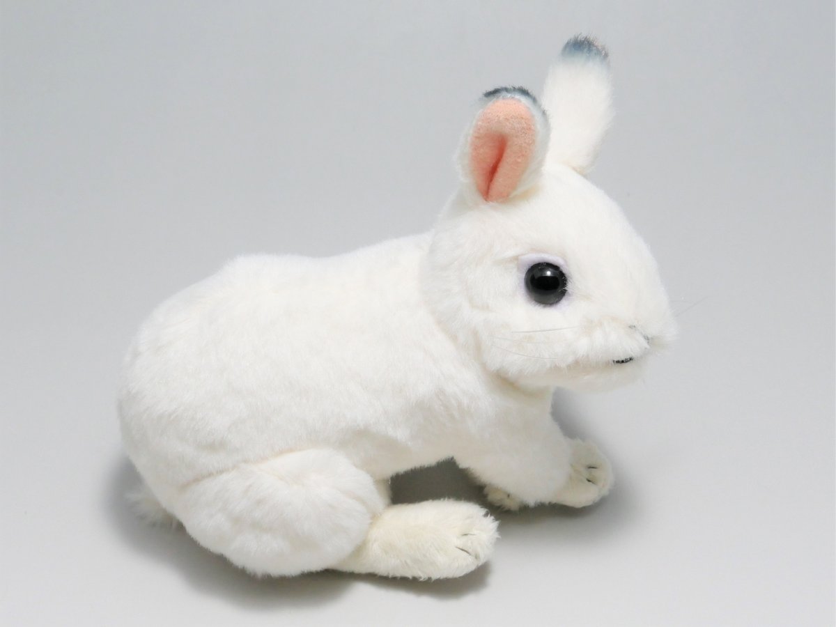 やまね工房 キュウシュウノウサギ 冬毛 立 園内ギフトショップより