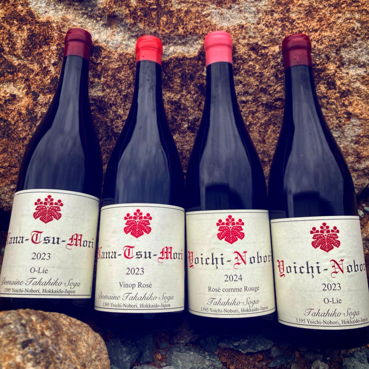 ナカイヨイチシードル 2020 2021 ドメーヌタカヒコ 北海道産ワイン