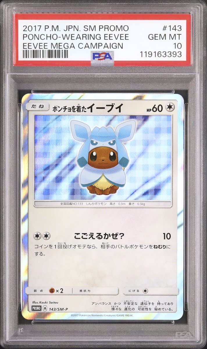 ポンチョを着たイーブイ グレイシアバージョン ポンチョを着たイーブイ