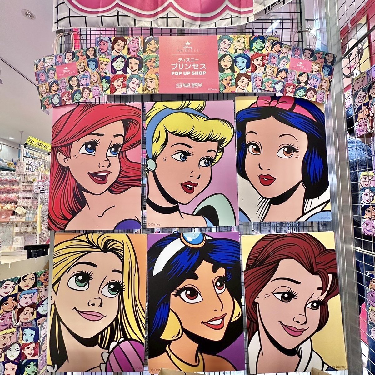 ディズニーモール プリンセス ピンバッジ LE100 ディズニーモール